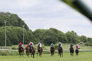 Race 6 - Nearly A Gonna (2)