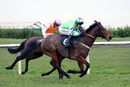 Race 6 - Niceandeasy (6)