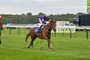 Race 6 - Nightingale Valley (8)