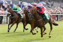 Race 6 - Nuns Walk (3)