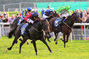 Race 6 - October Storm (3)