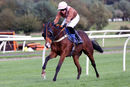 Race 6 - Paris Protocol (6)