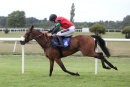 Race 6 - Perfect Man (11)