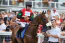 Race 6 - Perfect Man (1)
