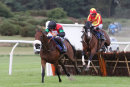 Race 6 - Perfect Man (8)