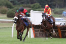 Race 6 - Perfect Man (9)