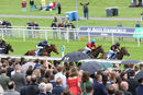 Race 6 - Philipine Cobra (2)