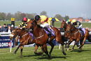 Race 6 - Pisanello (3)