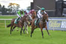 Race 6 - Plansina (2)