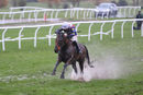 Race 6 - Pride Of Lecale (3)