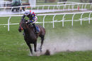 Race 6 - Pride Of Lecale (4)