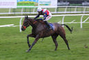 Race 6 - Pride Of Lecale (7)