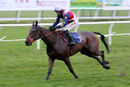 Race 6 - Pride Of Lecale (8)