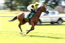 Race 6 - Proud Archi (2)