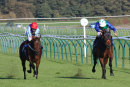 Race 6 - Pure Shores (3)
