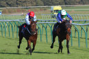 Race 6 - Pure Shores (5)