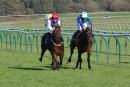 Race 6 - Pure Shores (8)