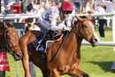 Race 6 - Qaysar (4)