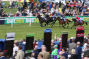 Race 6 - Robert Walpole (2)