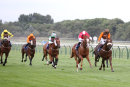 Race 6 - Rolladice (3)
