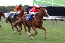 Race 6 - Rolladice (7)