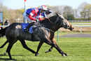 Race 6 - Saisons D Or (12)