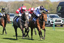 Race 6 - Saisons D Or (5)