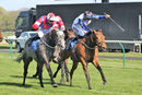 Race 6 - Saisons D Or (6)