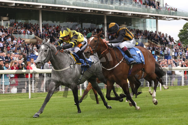 Race 6 - Sandras Secret (3)