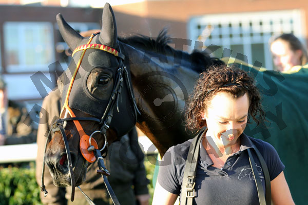 Race 6 - Scented Lily (12)