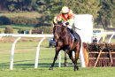 Race 6 - Scented Lily (5)