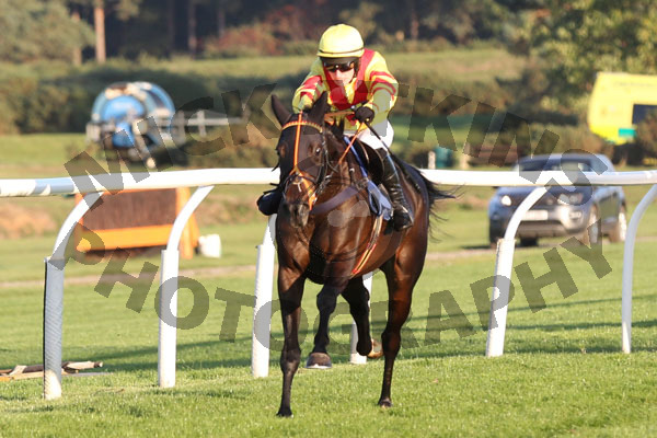 Race 6 - Scented Lily (6)