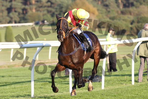 Race 6 - Scented Lily (7)