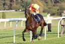 Race 6 - Scented Lily (7)