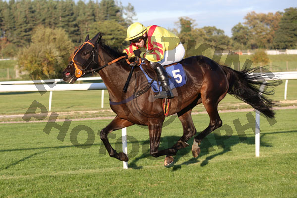 Race 6 - Scented Lily (9)