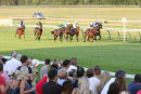 Race 6 - Seaborough (2)