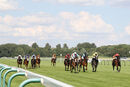 Race 6 - Secret Potion (1)