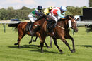 Race 6 - Secret Potion (3)