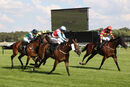 Race 6 - Secret Potion (4)