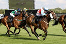 Race 6 - Secret Potion (5)