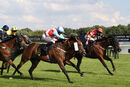 Race 6 - Secret Potion (6)