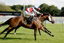 Race 6 - Secret Potion (9)