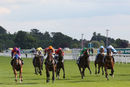 Race 6 - Secretinthepark (2)
