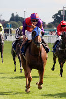Race 6 - Secretinthepark (3)