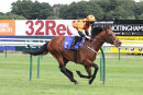 Race 6 - See The Master (11)