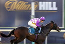 York Races - October Finale (7 Oct 22)