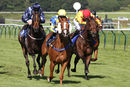 Race 6 - Show Palace (8)