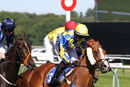 Race 6 - Show Palace (13)