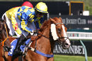 Race 6 - Show Palace (14)