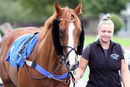 Race 6 - Show Palace (2)